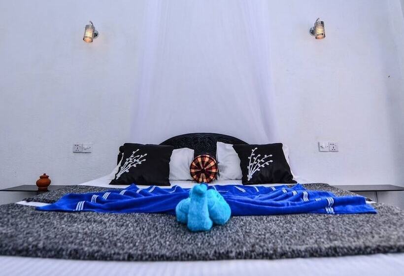 Pensión Zircon Ella