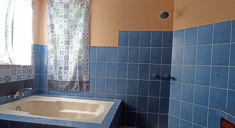 ユースホステル Jungla De Panama