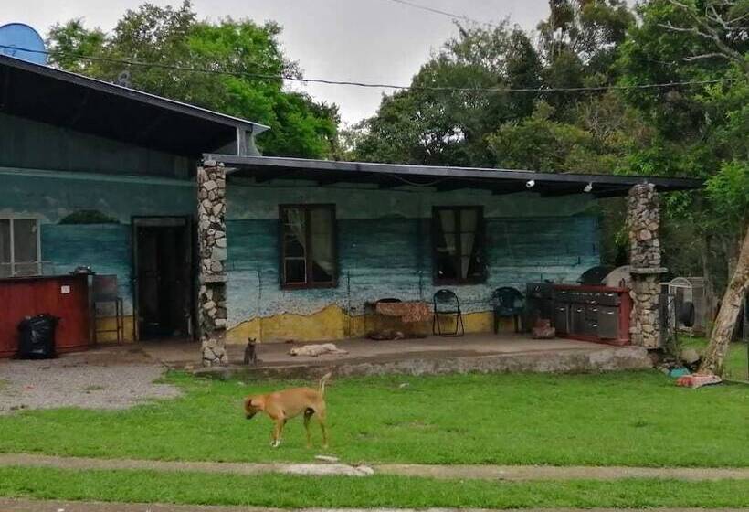 ユースホステル Jungla De Panama