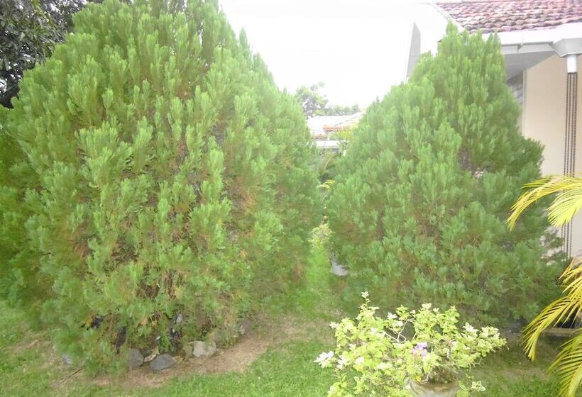 Mama S Villa By Taprobane   Hostel