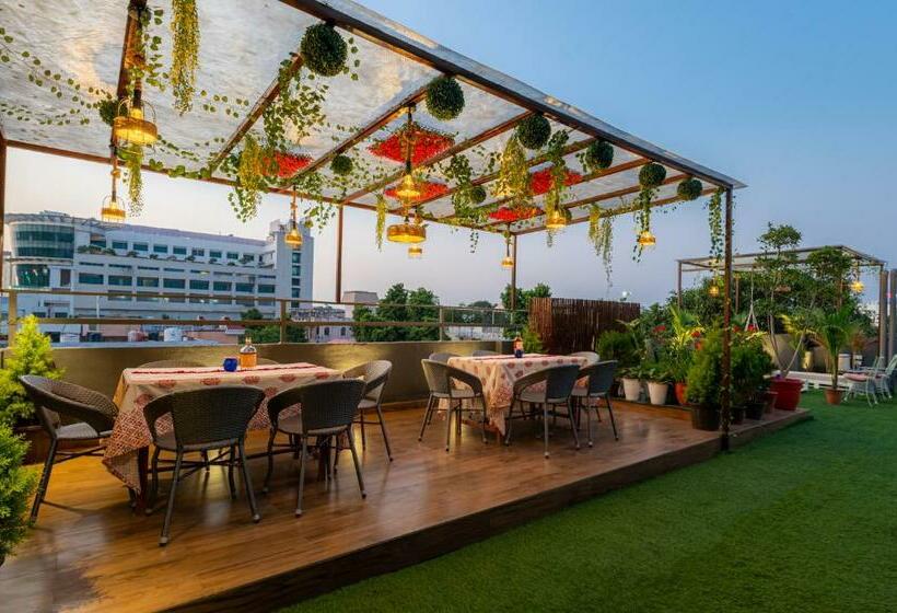 민박 The Gulmohar Mansion Boutique Stay In Jaipur