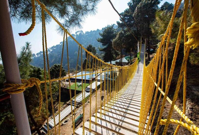 Blue Pine Resort