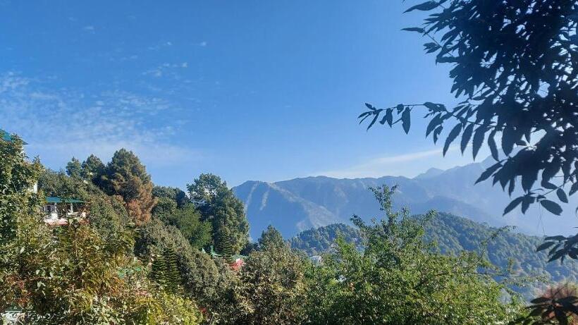 Blue Pine Resort
