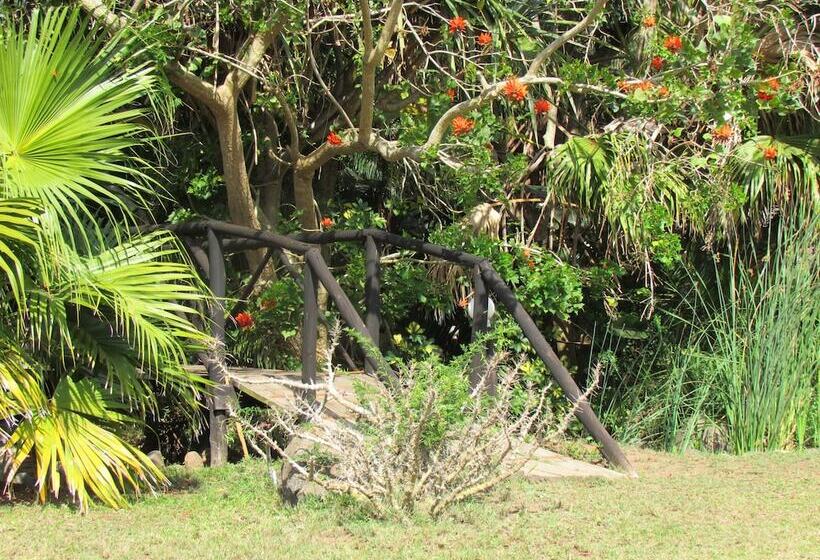 בית מלון כפרי Malala Game Lodge