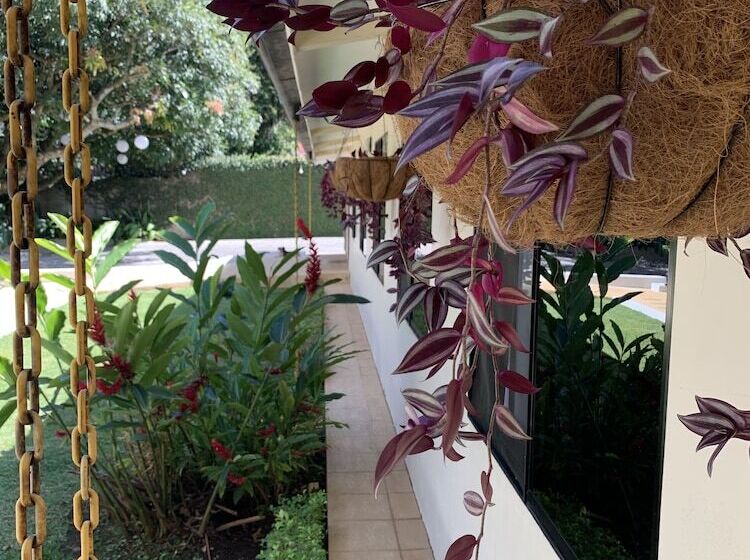 호텔 Mango Airport