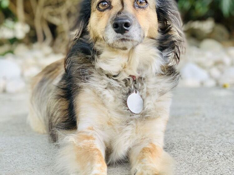 호텔 Mango Airport