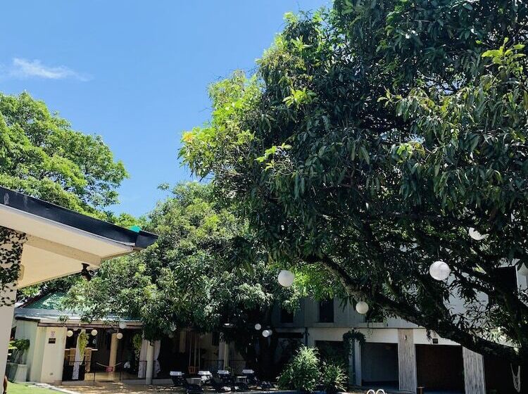 호텔 Mango Airport