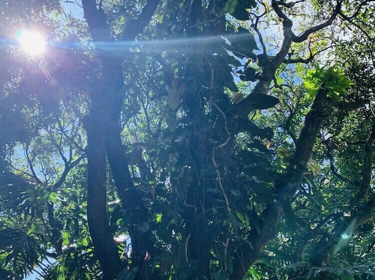 호텔 Mango Airport