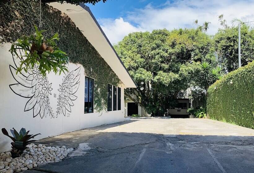 호텔 Mango Airport