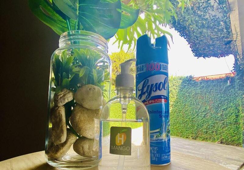 호텔 Mango Airport