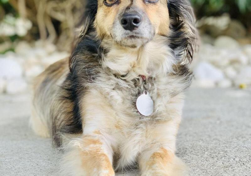 호텔 Mango Airport