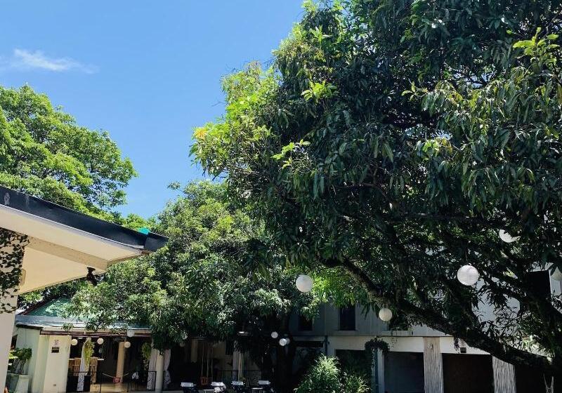 호텔 Mango Airport