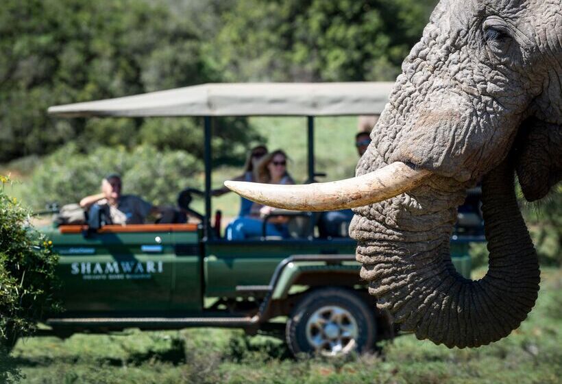 酒店 Shamwari Bayethe