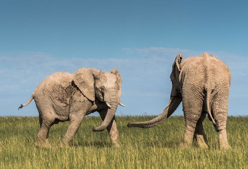 酒店 Shamwari Eagles Crag