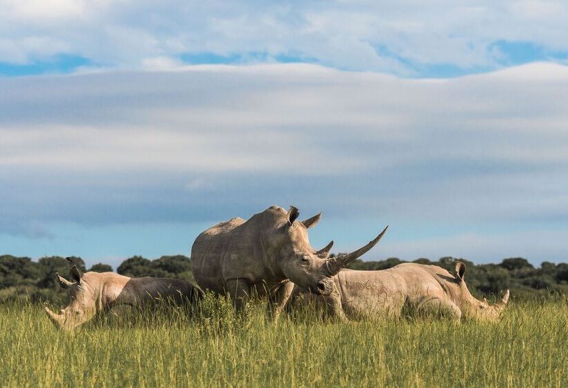 בית מלון כפרי Shamwari Sarili