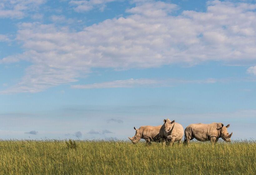 ホテル Shamwari Sarili