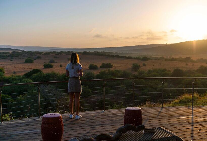 酒店 Shamwari Sarili