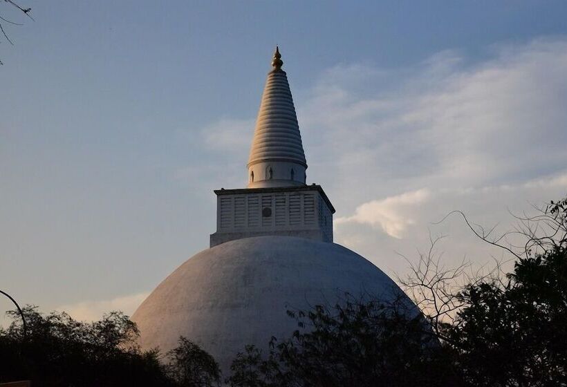 בית מלון כפרי Wilpattu Tree House