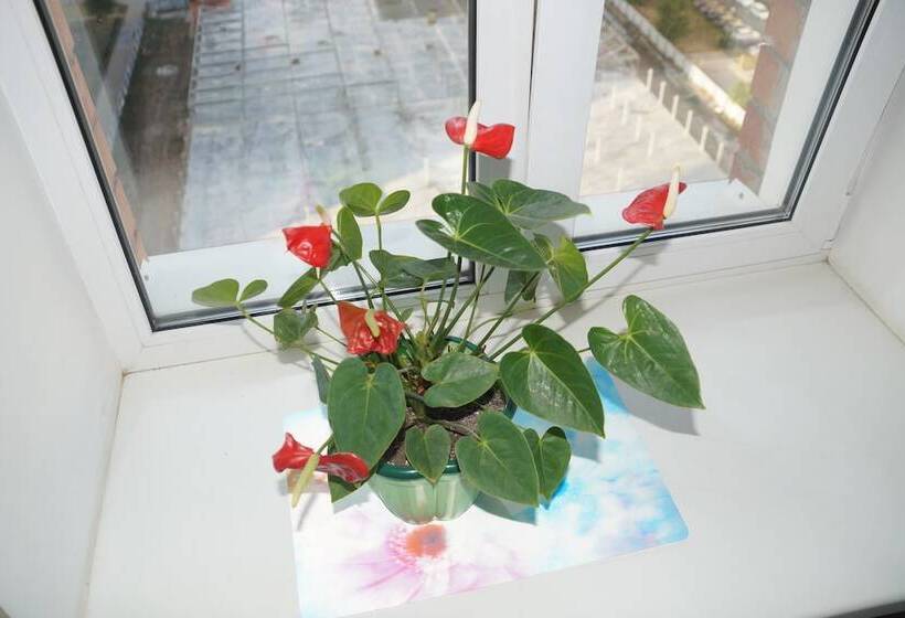 Like Hostel Tolyatti Sportivnaya