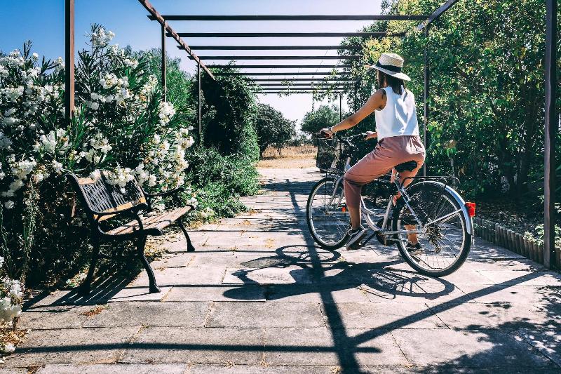 Monte Do Colmeal Country House & Wine