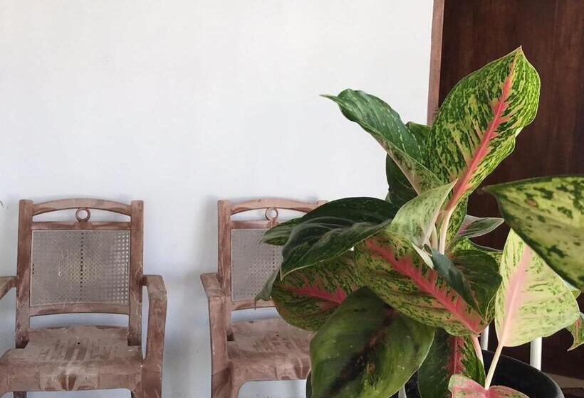 بنسيون Anna Tourist Inn