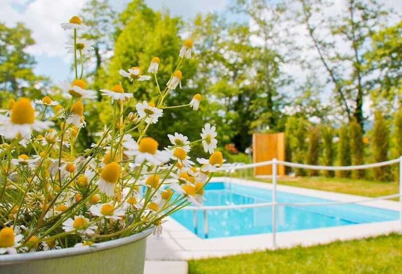 פנסיון Aristotelia Gi