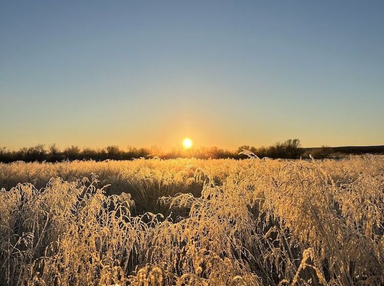 پانسیون Bjork Guesthouse