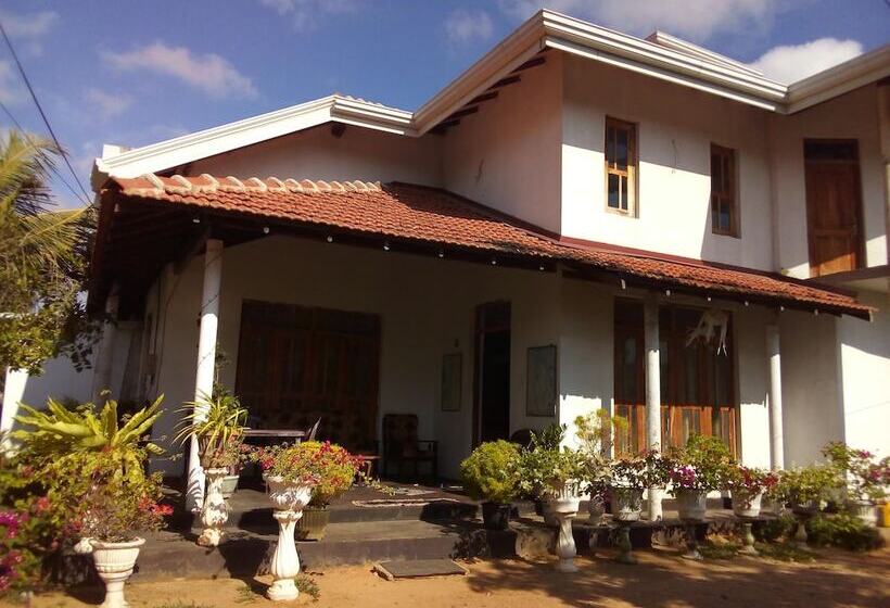 بنسيون Daisy Villa