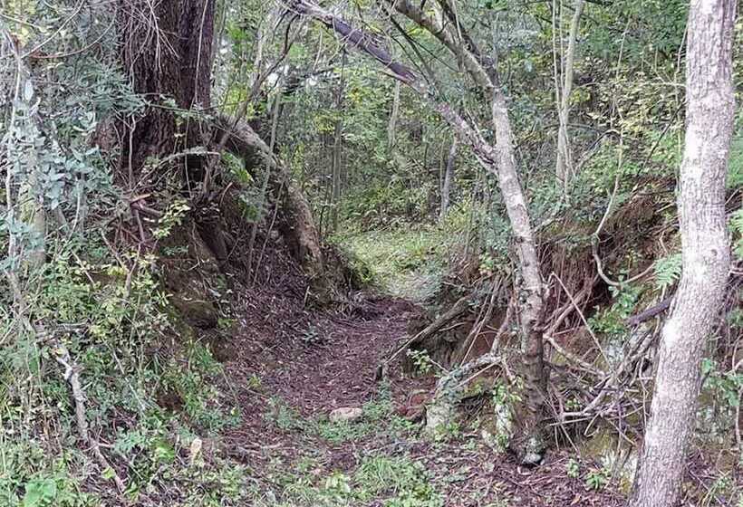 펜션 Engedi Retreat