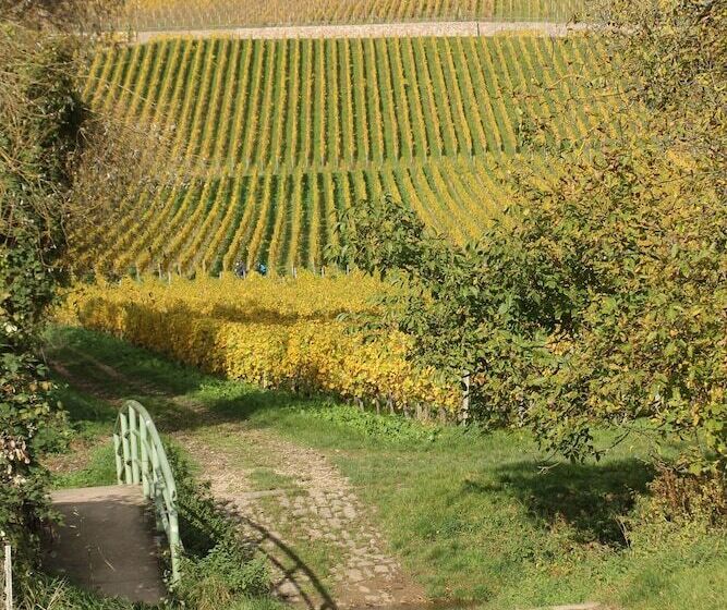 Пансион Gästehaus Strieth