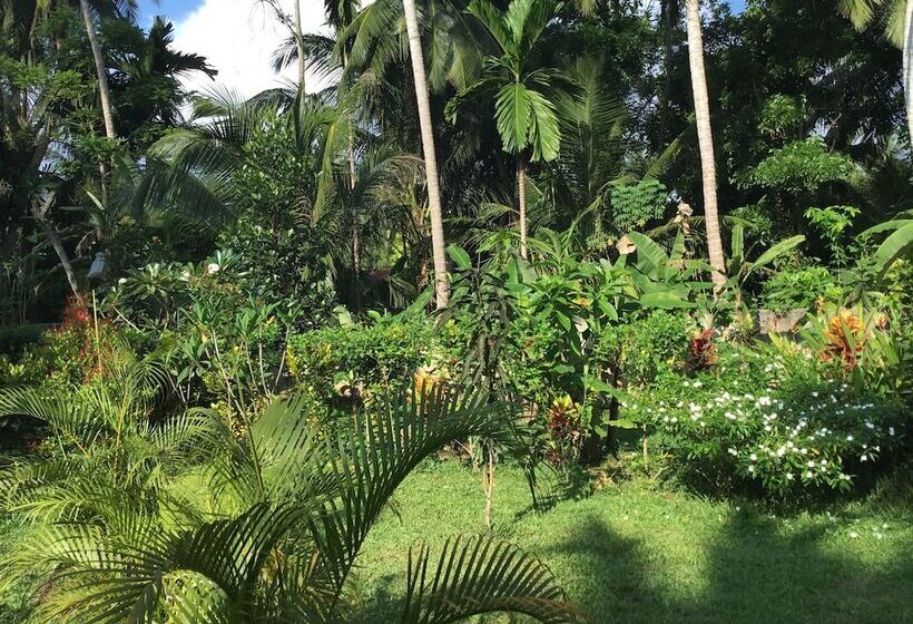 ペンション King Coconut Lodge