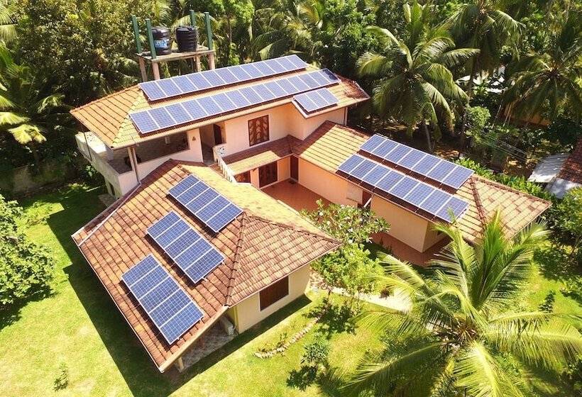 ペンション King Coconut Lodge