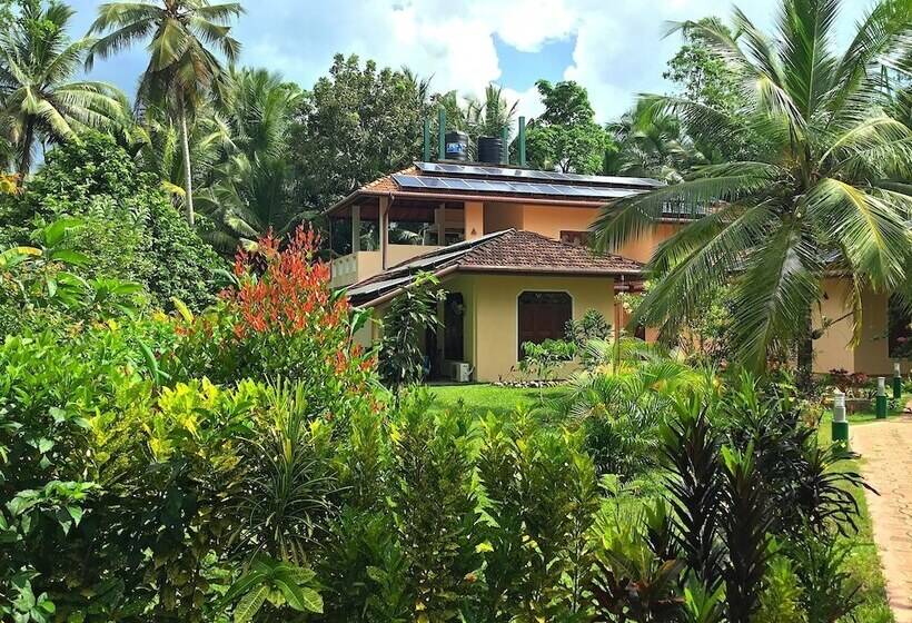 ペンション King Coconut Lodge