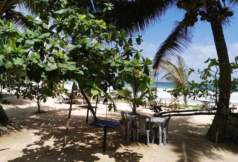 ペンション King Coconut Lodge