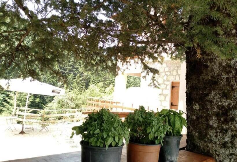 פנסיון La Locanda