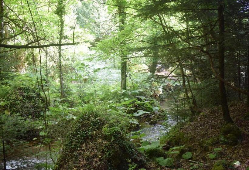 פנסיון La Locanda