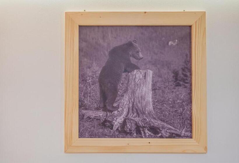 پانسیون Willa U Gałów