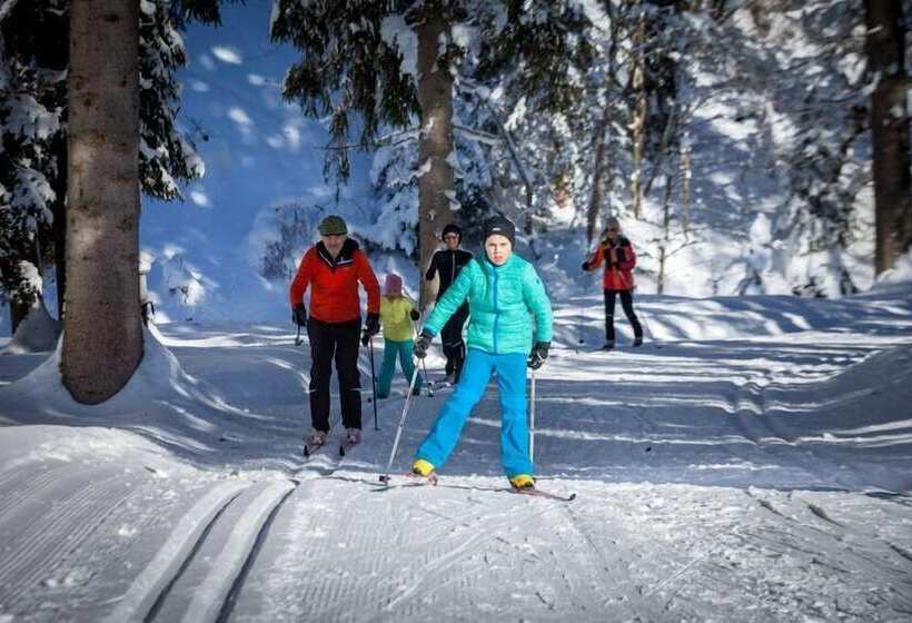 Pension Haus Rohrmoser