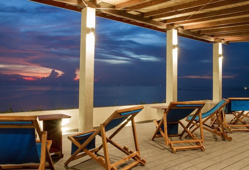 Общежитие Lazy Koala