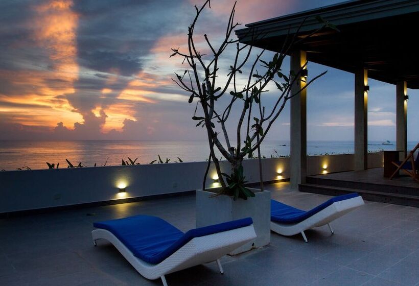 Общежитие Lazy Koala