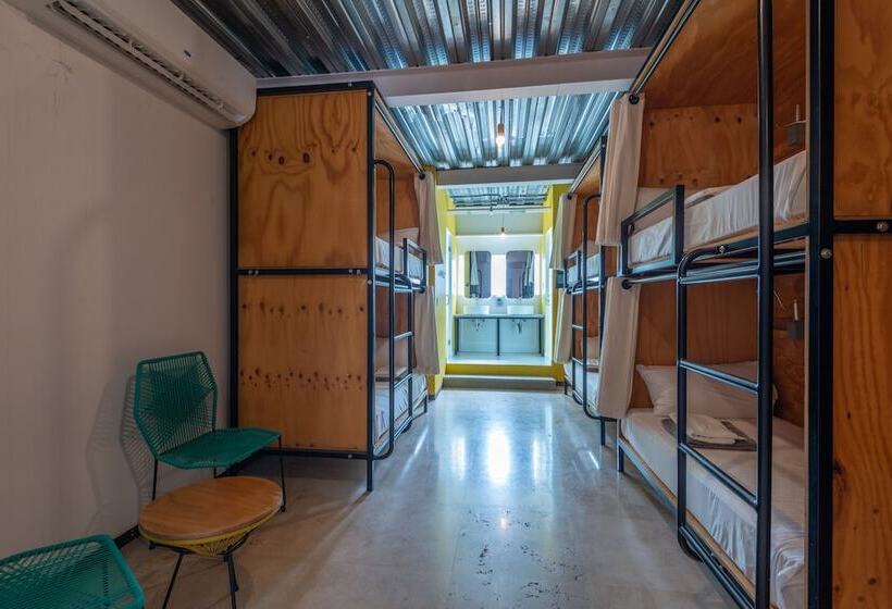 ユースホステル Mayan Monkey Los Cabos | Social