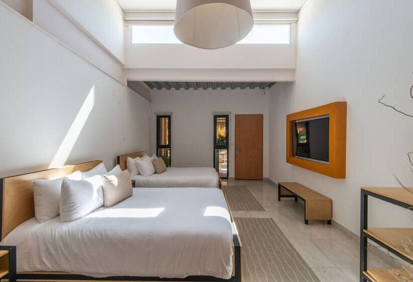 ユースホステル Mayan Monkey Los Cabos | Social