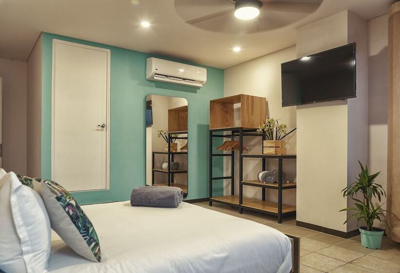 ユースホステル Mayan Monkey Los Cabos | Social