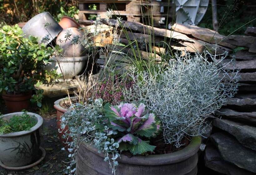 مبيت وإفطار Penalhuzet