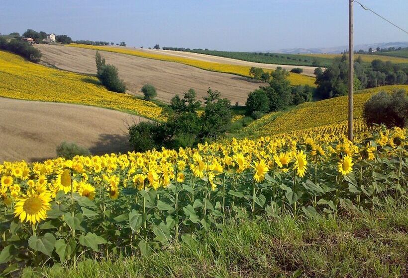 Bed And Breakfast La Casa Delle Rondini