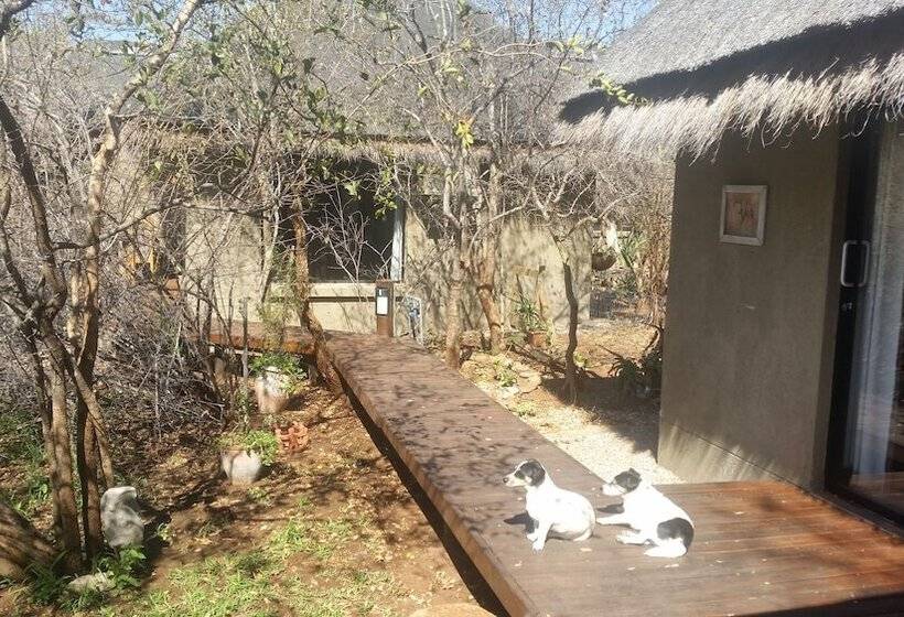 בית מלון כפרי Call Of The Wild Lodge