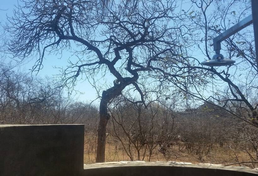 Отель Call Of The Wild Lodge