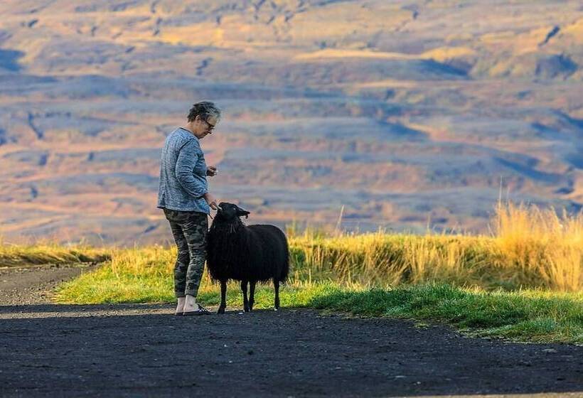 هتل Fljotsbakki Farm