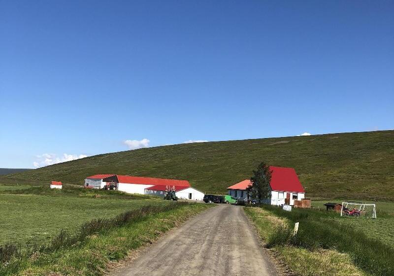 هتل Fljotsbakki Farm
