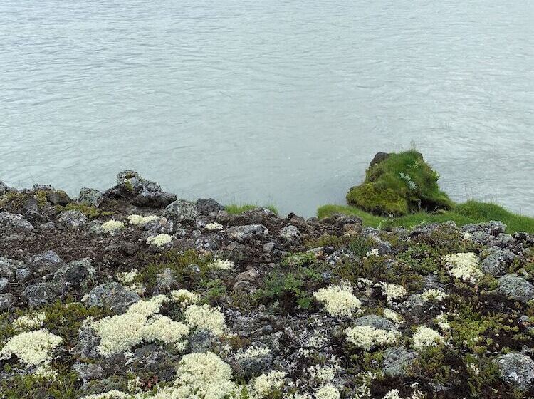 هتل Fljotsbakki Farm